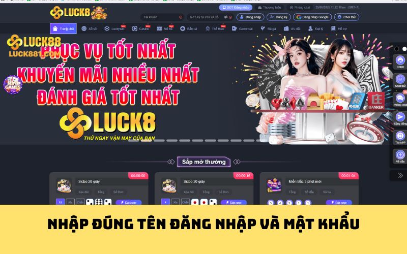 Nhập đúng tên đăng nhập và mật khẩu