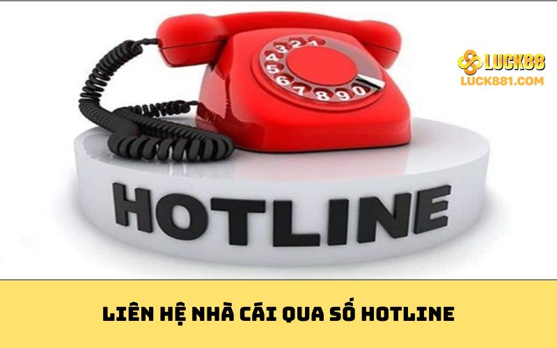 Liên hệ nhà cái qua số hotline